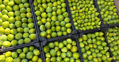 KIŞ UZUN SÜRÜNCE AYDIN'DA TEZGAHLARI MANİSA İNCİRİ SÜSLEDİ