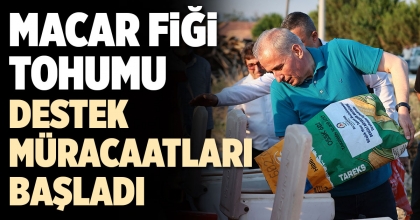 MACAR FİĞİ TOHUMU DESTEK MÜRACAATLARI BAŞLADI