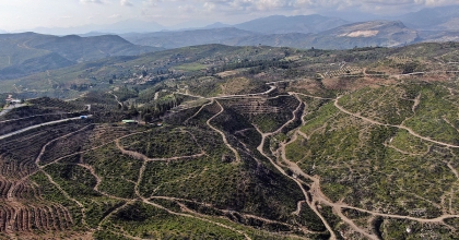 MANAVGAT YANGININDA ZARAR GÖREN BÖLGELERE 5 MİLYON FİDAN DİKİLDİ