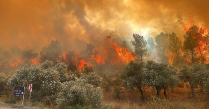 MİLAS'TA ORMAN YANGINI BAŞLADI