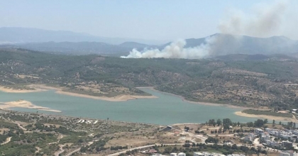 MİLAS'TAKİ ORMAN YANGINI KONTROL ALTINA ALINDI   
