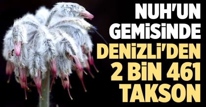 NUH'UN GEMİSİNDE DENİZLİ'DEN 2 BİN 461 TAKSON