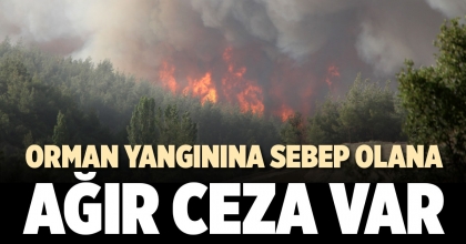 ORMAN YANGININA SEBEP OLANA AĞIR CEZA VAR
