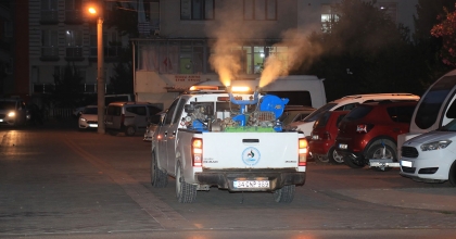 PAMUKKALE'DE İLAÇLAMA SEFERBERLİĞİ DEVAM EDİYOR