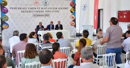 PAMUKKALE TARIMINA MERCEK TUTTULAR