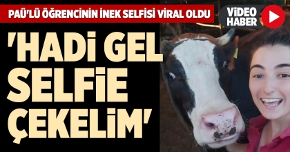 PAÜ'LÜ ÖĞRENCİNİN İNEK SELFİSİ VİRAL OLDU