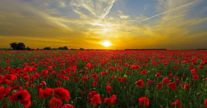 Rüyada Kırmızı Renk Görmek Kötü mü?