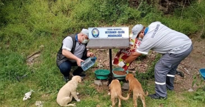 SALİHLİ’DE SOKAK HAYVANLARI İÇİN ÇAĞRI: 'BİR KAP SU, BİR KAP YEMEK' 