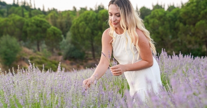 SEFERİHİSAR'DA LAVANTA HASADI ŞENLİKLE BAŞLIYOR