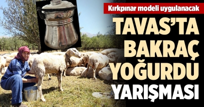 TAVAS’TA BAKRAÇ YOĞURDU YARIŞMASI