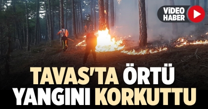 TAVAS'TA ÖRTÜ YANGINI KORKUTTU