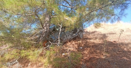 UÇURUMA DÜŞEN ARAÇ, AĞACA ÇARPARAK DURDU