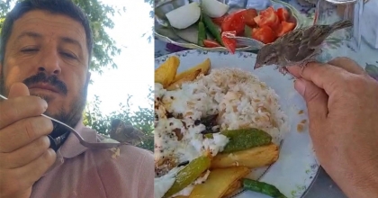 YEMEĞİNİ MASASINA GELEN SERÇE İLE BİRLİKTE YEDİ