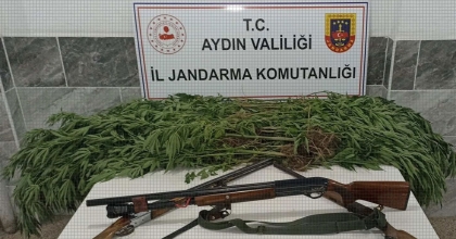 ZEYTİN BAHÇESİNDEN UYUŞTURUCU ÇIKTI 