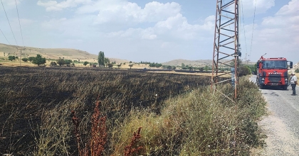 ARAZİ YANGININDA 3 DÖNÜM EKİLİ ALAN ZARAR GÖRDÜ  