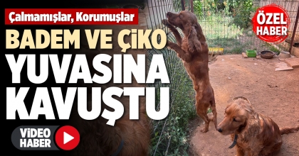 BADEM VE ÇİKO YUVASINA KAVUŞTU