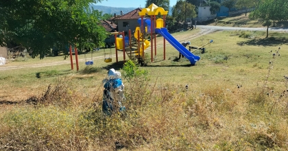 BULDAN’DA ORTAK YAŞAM ALANLARINDA KURU OTLAR TEMİZLENİYOR