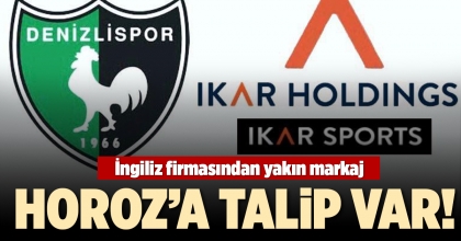 HOROZ'A TALİP VAR!