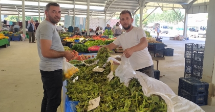 SATIŞA SUNULAN YAŞ FINDIK KAPIŞILIYOR
