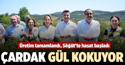 ÇARDAK GÜL KOKUYOR