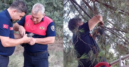 KARGANIN İMDADINA İTFAİYE YETİŞTİ  