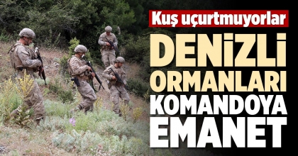 DENİZLİ ORMANLARI KOMANDOYA EMANET 