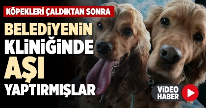 KÖPEKLERİ ÇALDIKTAN SONRA BELEDİYENİN KLİNİĞİNDE AŞI YAPTIRMIŞLAR