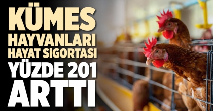 KÜMES HAYVANLARI HAYAT SİGORTASI YÜZDE 201 ARTTI