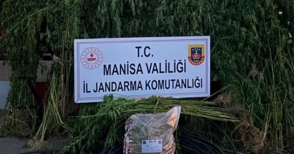 TURGUTLU'DA JANDARMADAN UYUŞTURUCU OPERASYONU