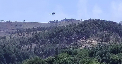 MUĞLA'DA ORMAN YANGINI