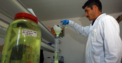 32 TÜR TIBBİ-AROMATİK BİTKİNİN DİSTİLASYONU YAPILDI  