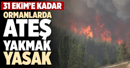 ORMANLARDA ATEŞ YAKMAK YASAK!