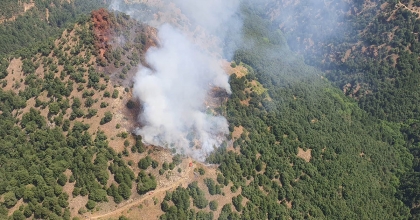 ALAŞEHİR'DE ORMAN YANGINI