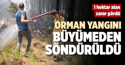 ORMAN YANGINI BÜYÜMEDEN SÖNDÜRÜLDÜ  