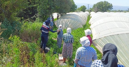 ÇİLEK İŞÇİSİ KADINLARA “EN İYİ NARKOTİK POLİSİ ANNE” PROJESİ ANLATILDI  