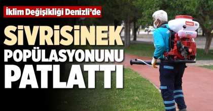 İKLİM DEĞİŞİKLİĞİ DENİZLİ’DE SİVRİSİNEK POPÜLASYONUNU PATLATTI