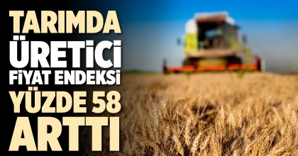 TARIMDA ÜRETİCİ FİYAT ENDEKSİ YÜZDE 58 ARTTI