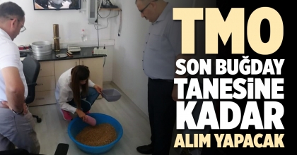 TMO SON BUĞDAY TANESİNE KADAR ALIM YAPACAK