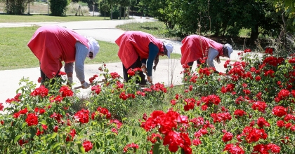 UŞAK BELEDİYESİ ÜST YAPI ÇALIŞMALARINA HIZ KESMEDEN DEVAM EDİYOR
