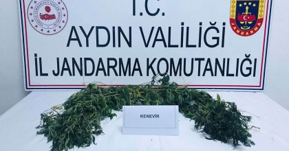 KÖŞK'TE UYUŞTURUCU OPERASYONU: 2 GÖZALTI