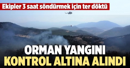 DENİZLİ'DE ORMAN YANGINI 3 SAATTE KONTROL ALTINA ALINDI