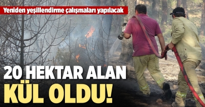 ORMAN YANGININDA 20 HEKTAR ALAN KÜL OLDU