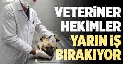 VETERİNER HEKİMLER YARIN İŞ BIRAKIYOR