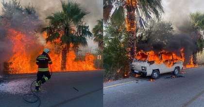 ARAÇTA BAŞLAYAN YANGIN AĞAÇLARA SIÇRADI