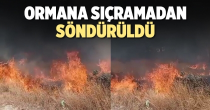 ORMANA SIÇRAMADAN SÖNDÜRÜLDÜ