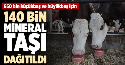 140 BİN MİNERAL TAŞI DAĞITILDI