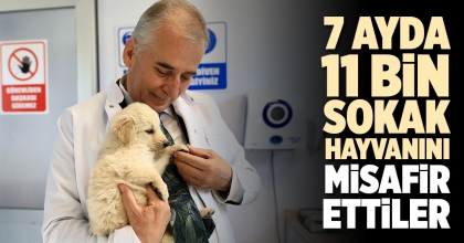 7 AYDA 11 BİN SOKAK HAYVANINI MİSAFİR ETTİLER