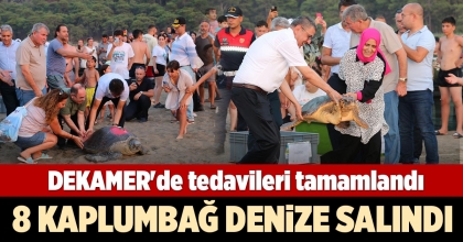 8 KAPLUMBAĞA DENİZE SALINDI