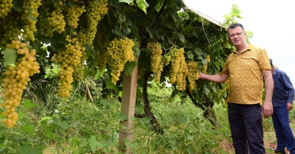 ALAŞEHİR FESTİVALLE COŞACAK