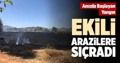 ANIZDA BAŞLAYAN YANGIN EKİLİ ARAZİLERE SIÇRADI